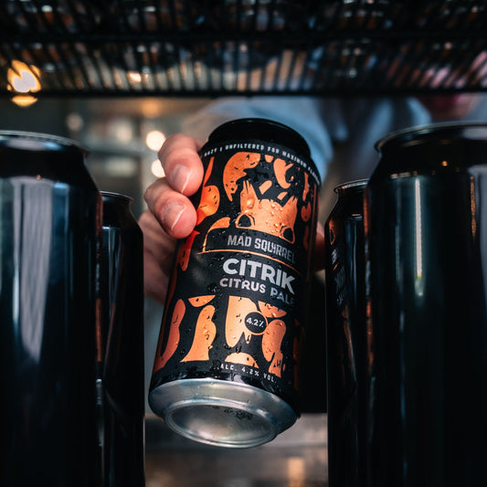 Close up of Mad Squirrel Citrik citrus pale ale can showing label details - orange