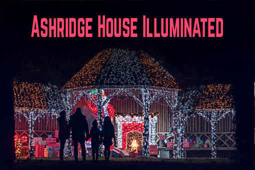 Ashridge House Illuminated: 29 November - 1 January