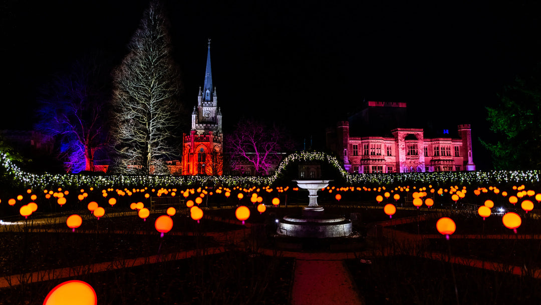 Ashridge Illuminations: 27th November - 1st January