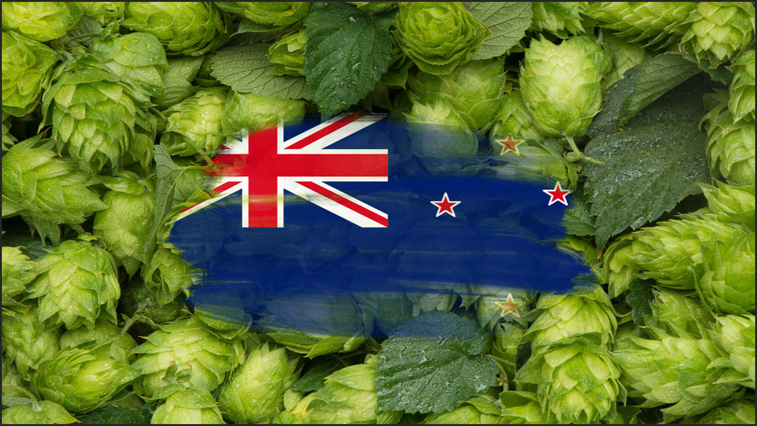 Why we love New Zealand hops