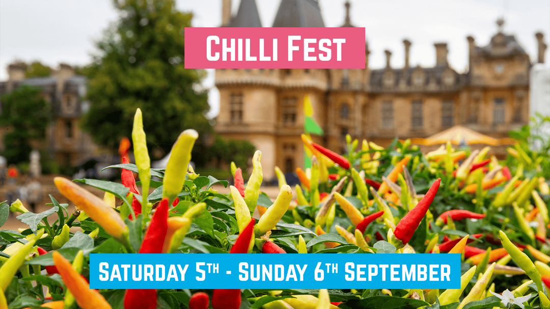 Chilli Fest: 5th & 6th September