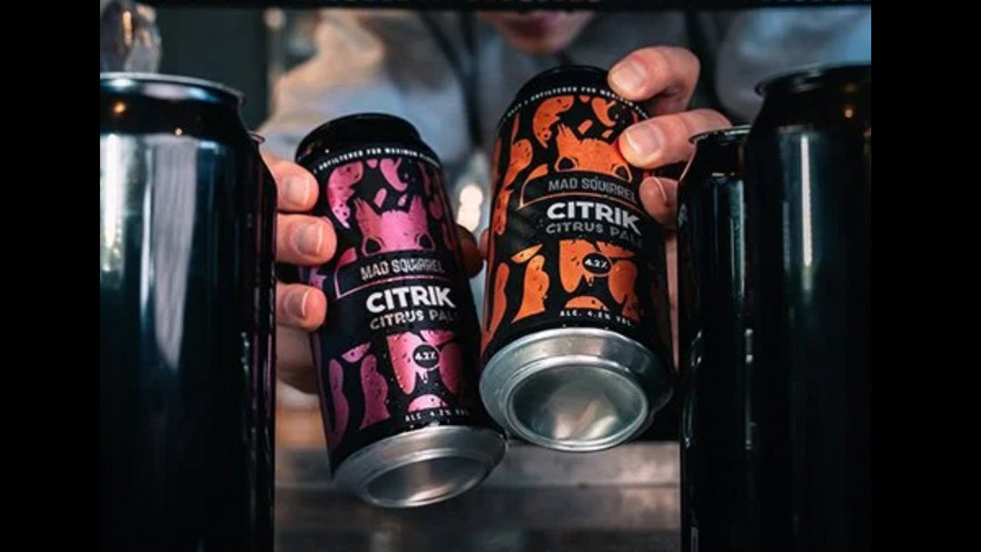 Citrik - You Decide!