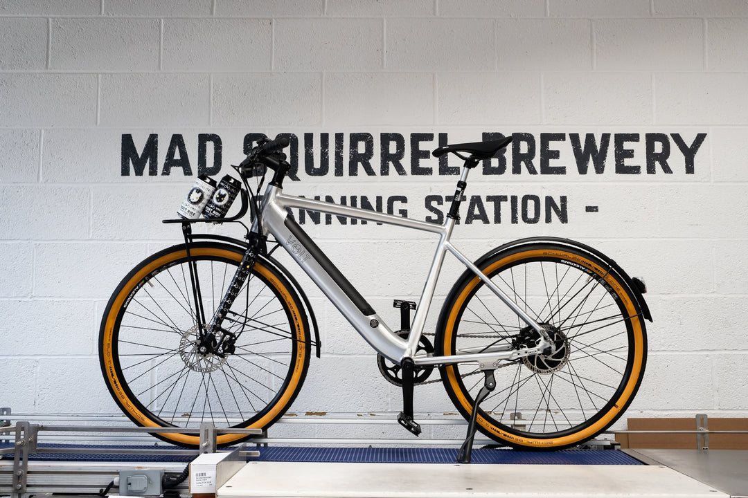 MAD SQUIRREL x VOLT COLLAB!!