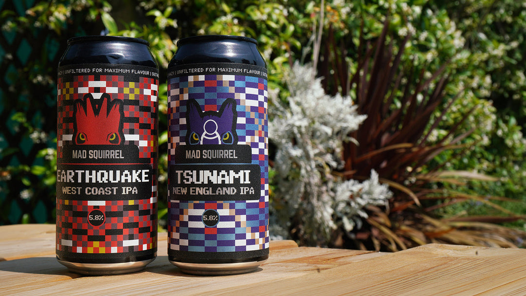 Tsunami Vs Earthquake