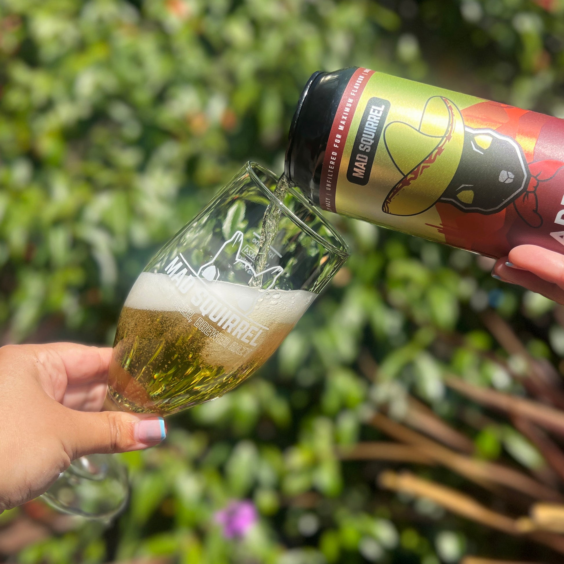 Arriba - Mexican Lager