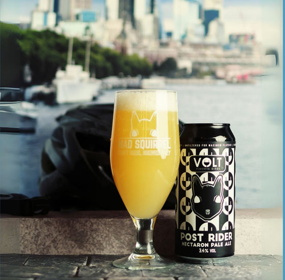 Post Rider - Nectaron Pale Ale