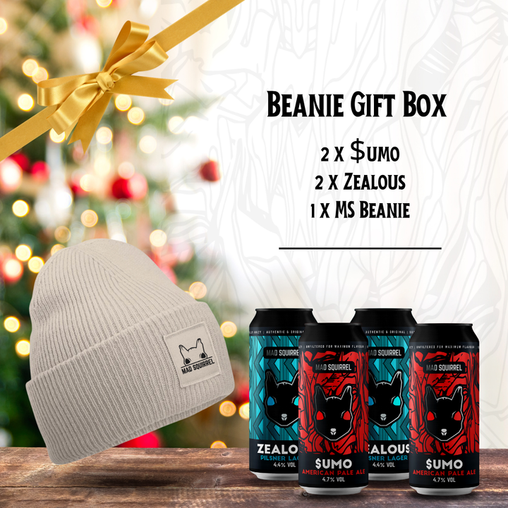 Beanie Gift Box