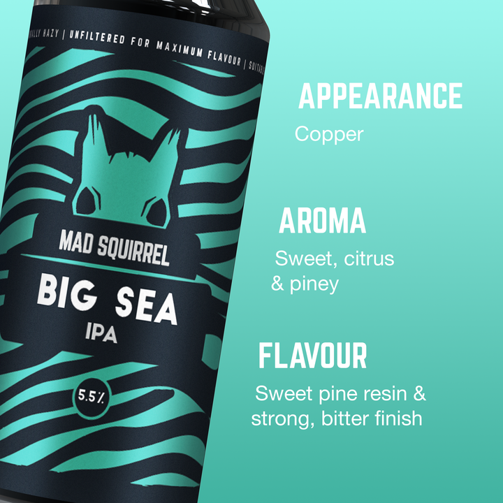Big Sea