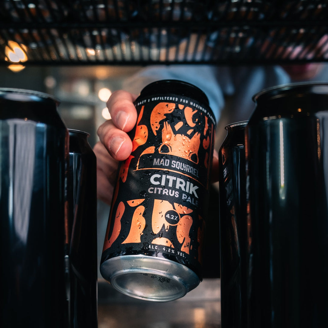 Close up of Mad Squirrel Citrik citrus pale ale can showing label details - orange