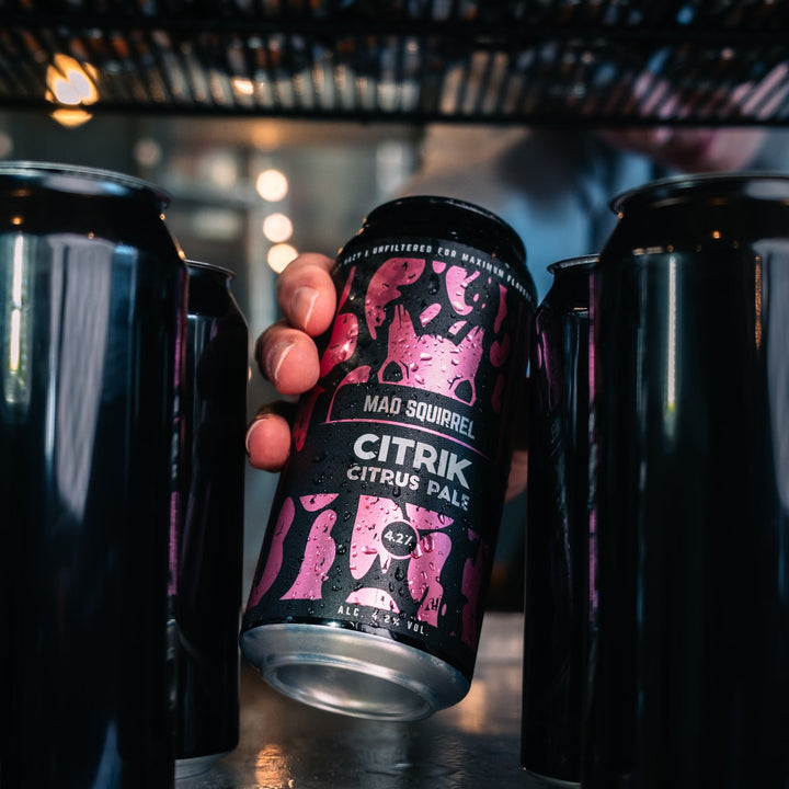 Close up of Mad Squirrel Citrik citrus pale ale can showing label details - pink