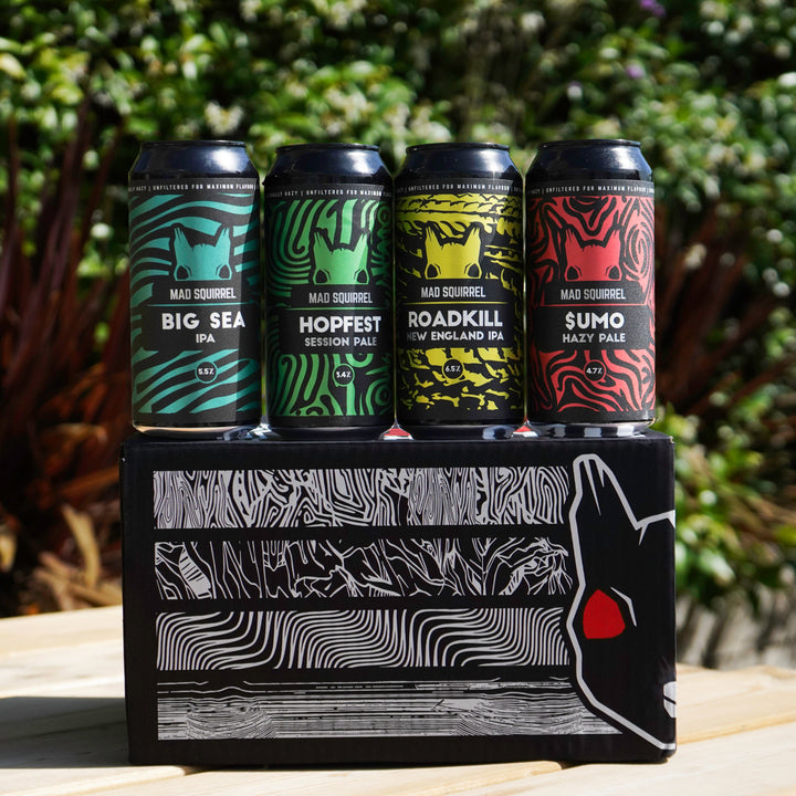 Mixed Pack (12 x 440ml cans)