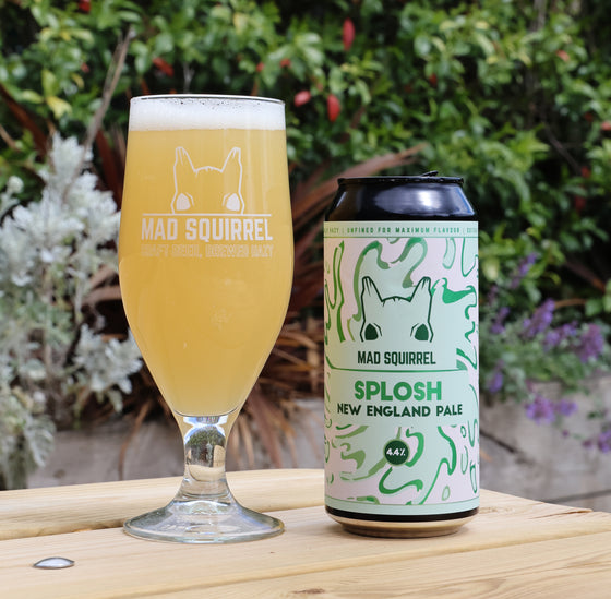 Splosh